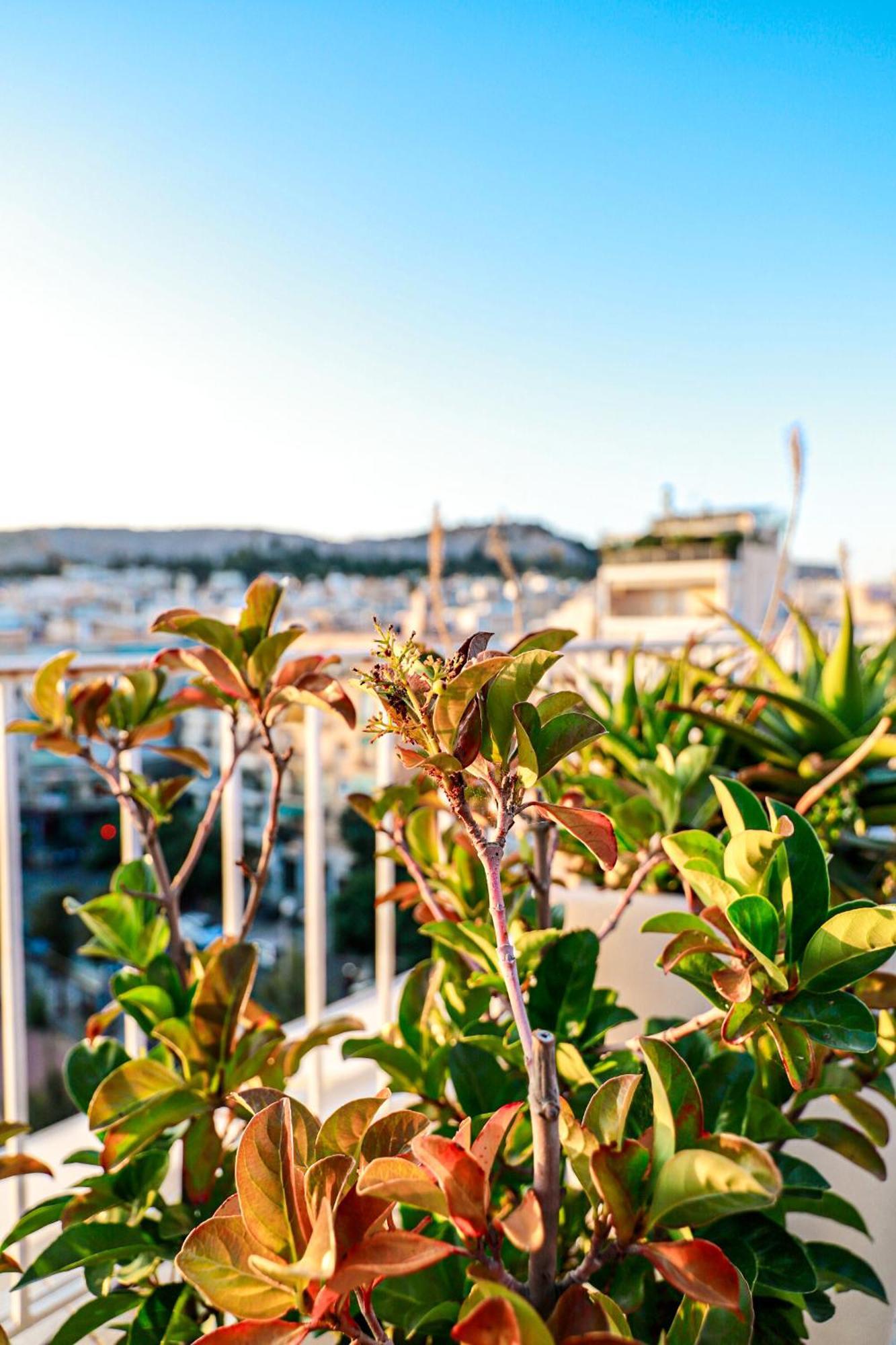 Renovated Apartment With Roof Garden Access, 15 M Walk To Acropolis เอเธนส์ ภายนอก รูปภาพ