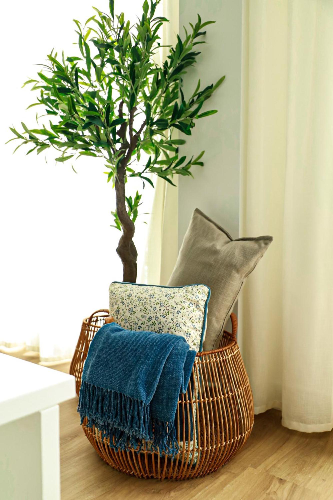 Renovated Apartment With Roof Garden Access, 15 M Walk To Acropolis เอเธนส์ ภายนอก รูปภาพ